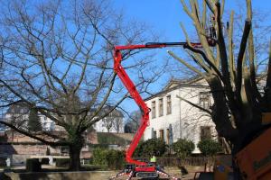 Arbeitsbühne mieten Saarbrücken, Raupenarbeitsbühne, Geländearbeitsbühne, Vermietung von Arbeitsbühnen Baumschnitt, Baumfällung Mietpark Mandelbachtal, St. Ingbert, Völklingen, Saarloius, Zweibrücken, Blieskastel,Gersheim,Kleinblittersdorf,