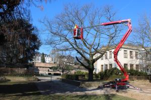 Arbeitsbühne mieten Saarbrücken, Raupenarbeitsbühne, Geländearbeitsbühne, Vermietung von Arbeitsbühnen Baumschnitt, Baumfällung Mietpark Mandelbachtal, St. Ingbert, Völklingen, Saarloius, Zweibrücken, Blieskastel,Gersheim,Kleinblittersdorf,